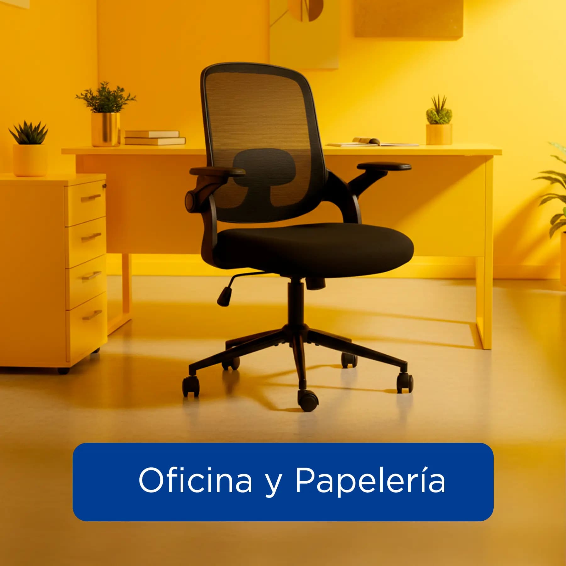 Oficina y Papelería