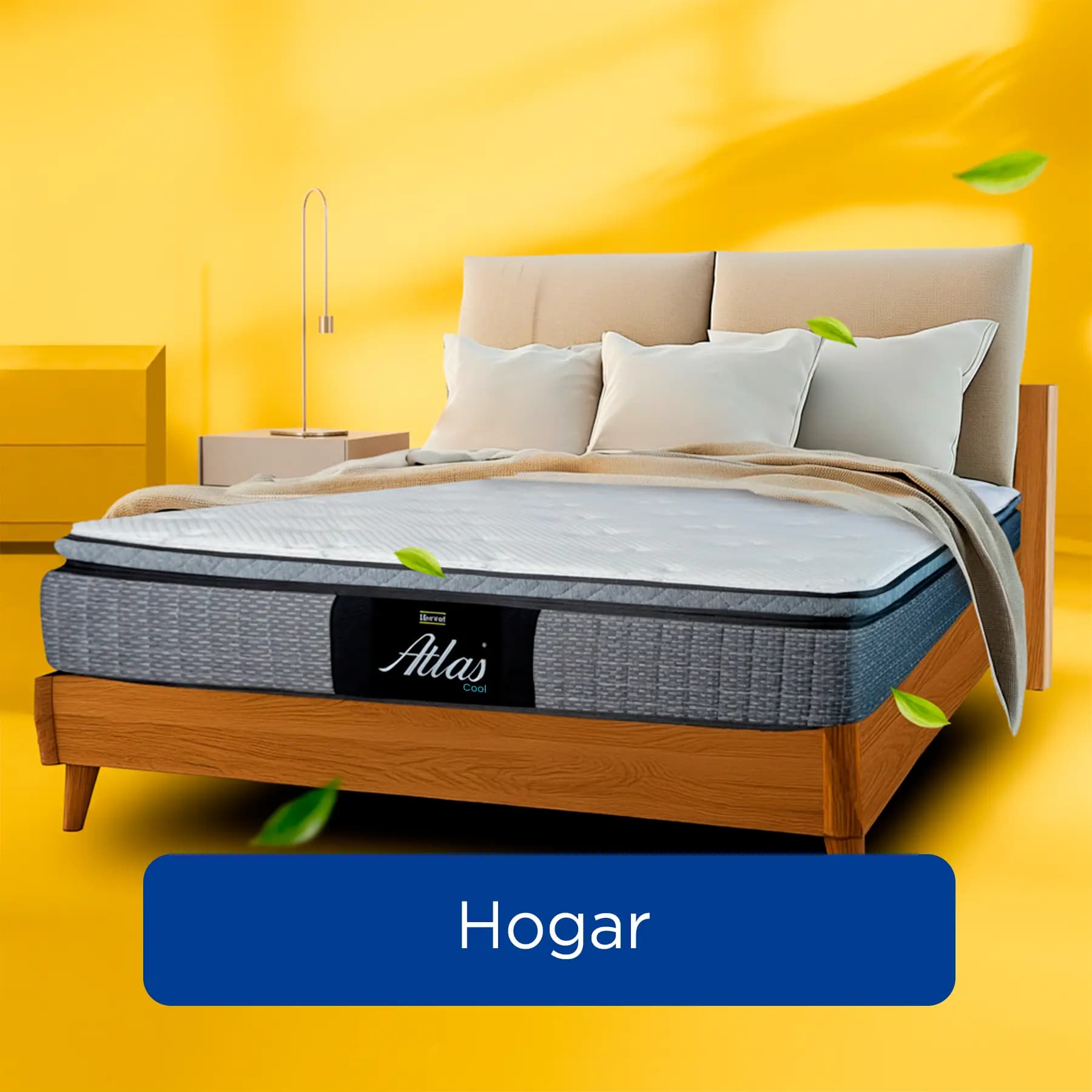 Hogar y Muebles