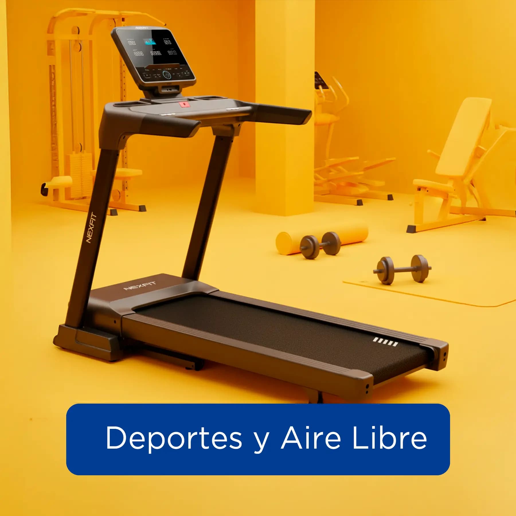 Deportes y Aire Libre